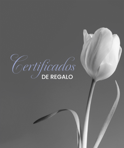 Cover de tulipan con frase Certificados de Regalo