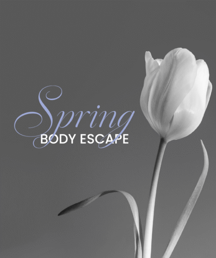 cover de spring body escape